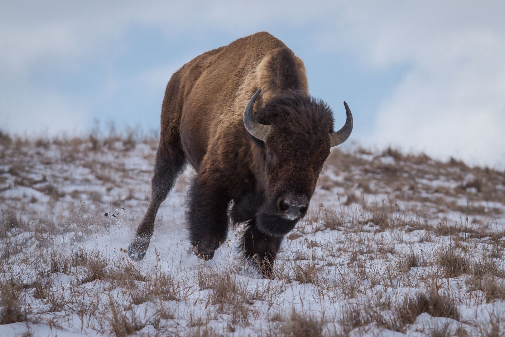 Home - Maxwell Wildlife Refuge